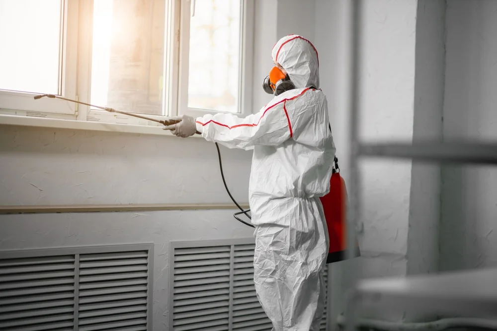 Professional mold remediation services in Lothian, MD